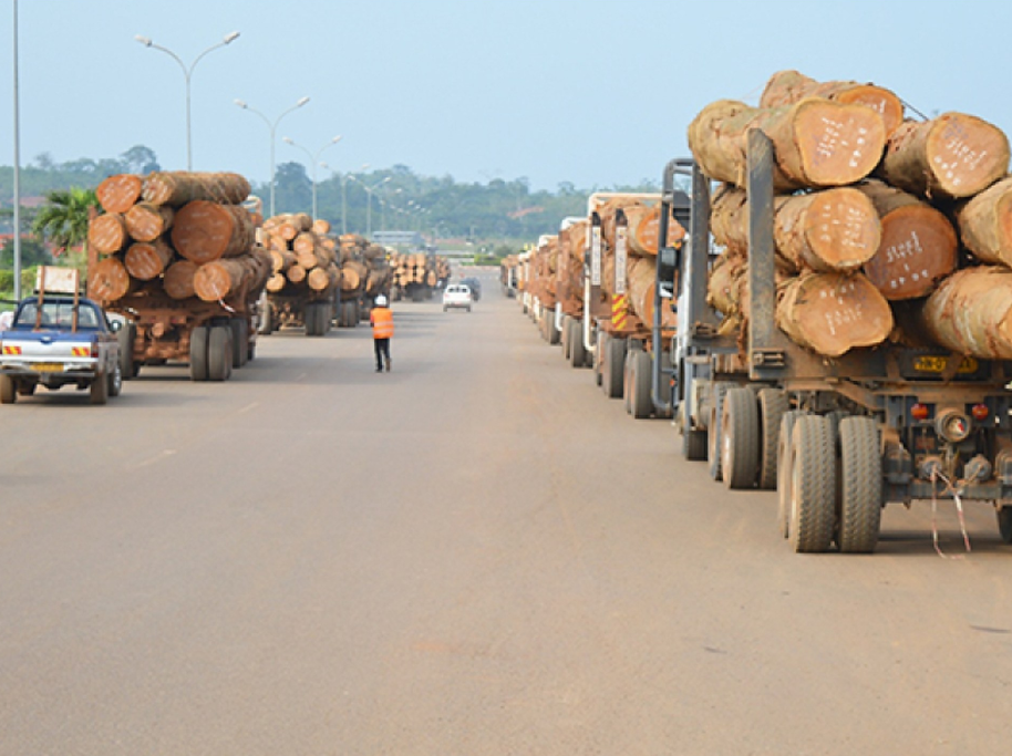 Africa Flooring & Wood Panel Price Guide 2026: South Africa, Nigeria & Kenya Costs, Duties & Trends 4 25f19030 1b08 4a78 9876 55e1c06632e0