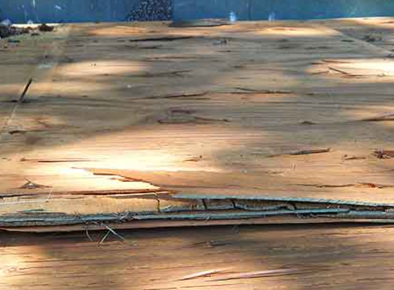 What Buyers Can’T See: Hidden Plywood Quality Risks 2 271a4208 9fca 46de af75 0c377d8020a0