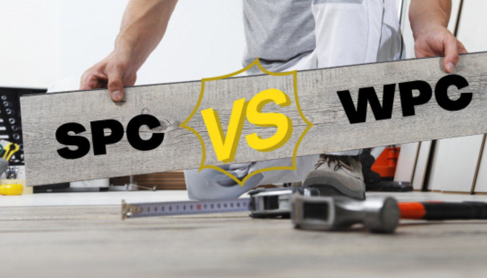 29f8b1a7 390b 479f bf43 c14e7a962702