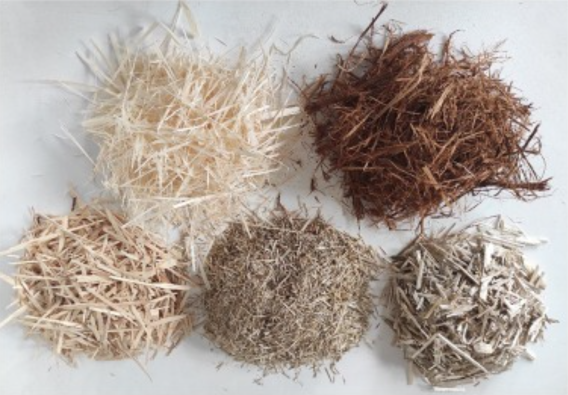 Brazil Particle Board Market: Trends, Demand & Industry Outlook For Buyers 3 3bd4eadf 8e9c 4768 a69e 47a94f75f247