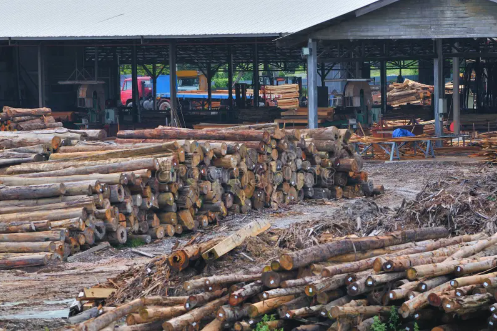 Timber Prices Forecast: Impacts On Laminate Flooring Manufacturing 2 image.png
