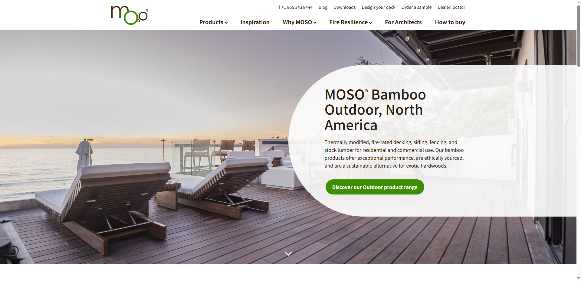 4f89c2a8 678a 4b2c 85e0 faed62cf8a81