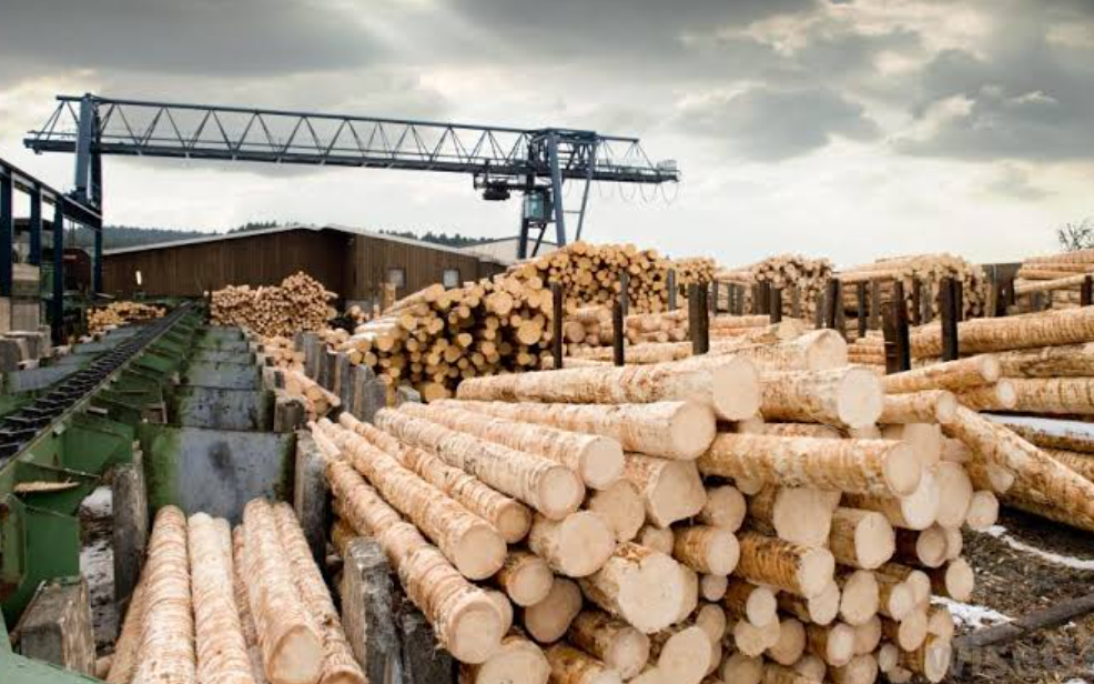 Timber Prices Forecast: Impacts On Laminate Flooring Manufacturing 1 image.png