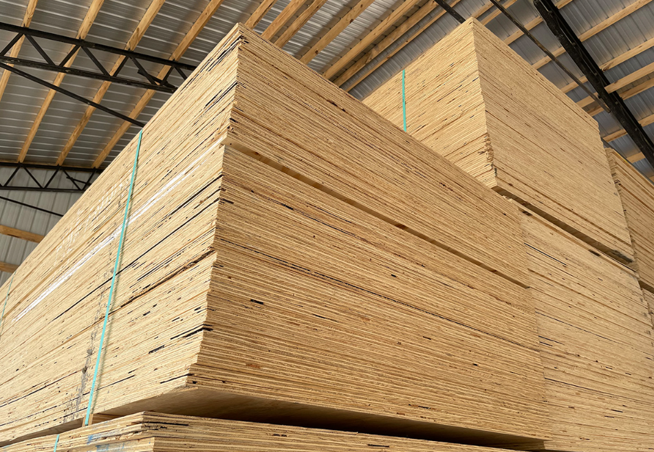 Managing Batch Consistency In Bulk Plywood Purchases 1 7d54cc7a 69dc 429d 9b50 cda303e83acc