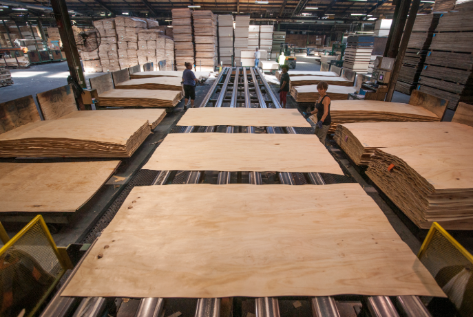 Managing Batch Consistency In Bulk Plywood Purchases 2 90a12cab 9017 4288 9f19 ac76fc7fcadb