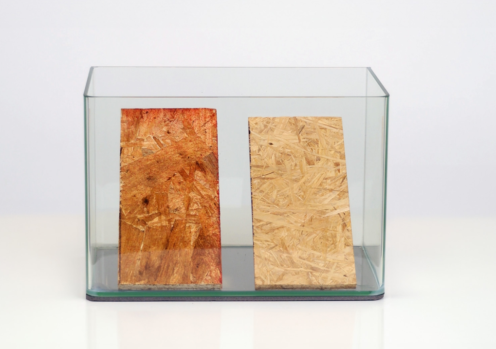 OSB Purchasing Mistakes That Cause Structural Failures (Buyer Guide) 3 bb3cd391 c6ac 438e 9fc9 e79e4f0698b9
