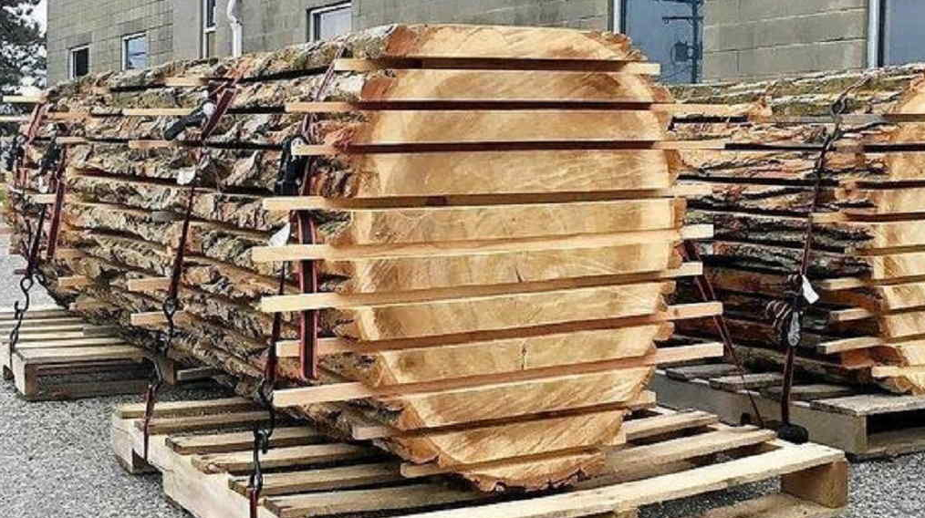 Argentina Plywood Imports And The Changing Construction Landscape 1 eab635f1 d86d 4ad3 82ad 0cfcd1fab357