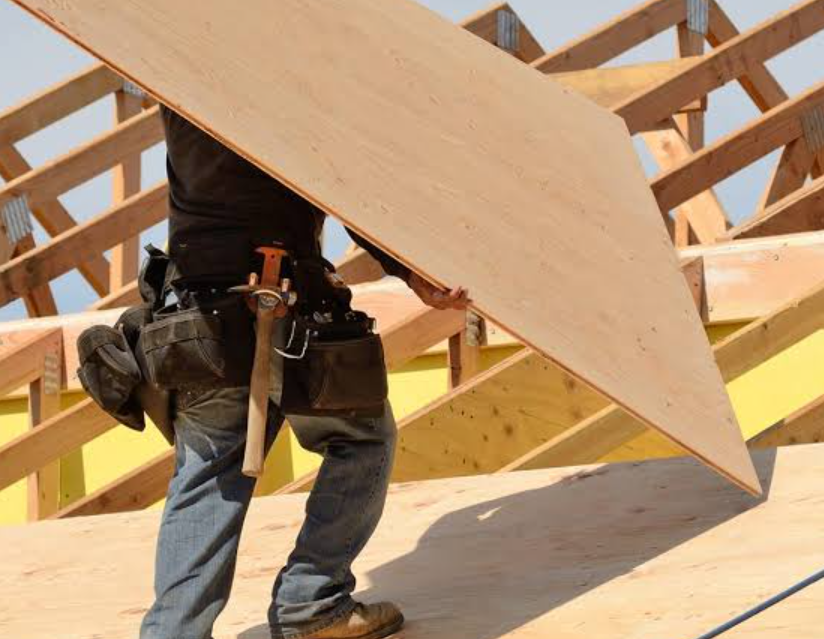 South Africa Plywood Supply Challenges And Construction Demand 3 f1b584ef dc87 46fc 8cbf 58a5caad614f